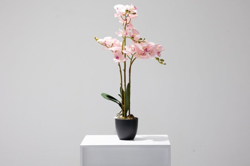 artificial plant - orchid pink (jwp3081)