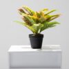 artificial plant - codiaeum (jws2669)