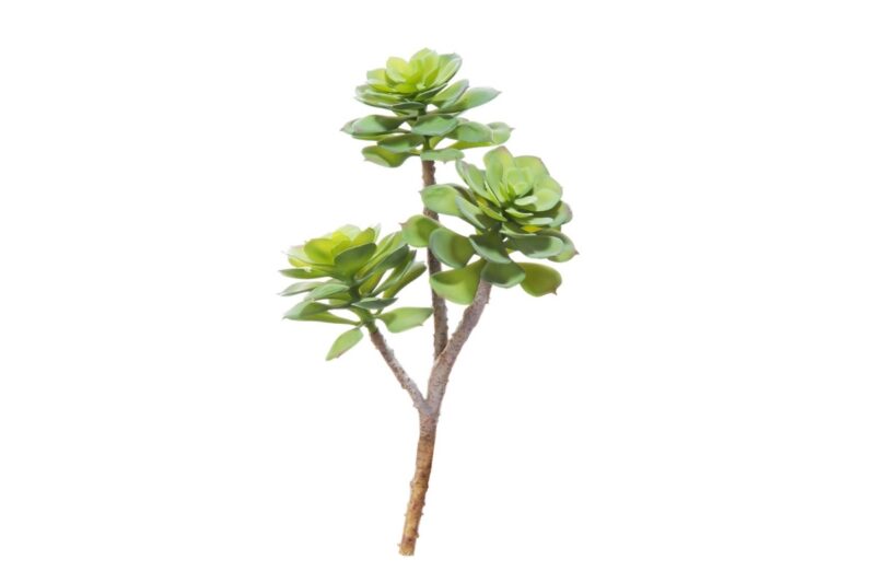 1965 green artificial plant