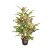 artificial plant - codiaem (jws2652)
