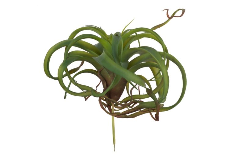 f2635-dkgr spider plant artificial plant