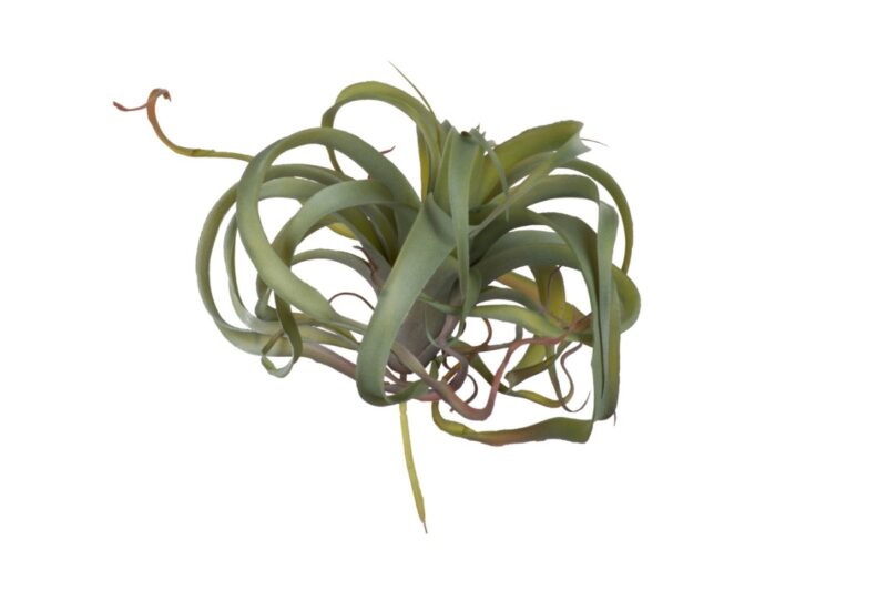 f2635-ltgr spider plant artificial plant