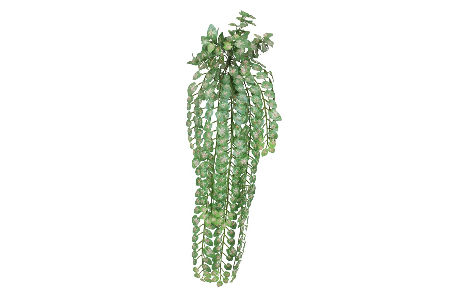 thatch-ivy (jwh011-3-yellow)