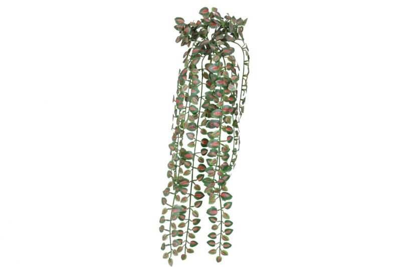 thatch-ivy (jwh011-2-pink)