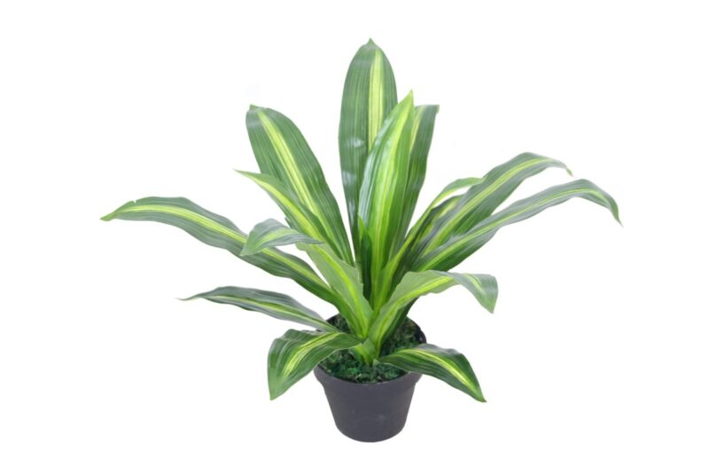 artificial plant - small dracaena (jws-2591-1)