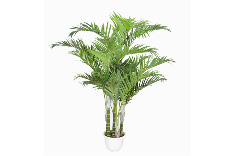 artificial plant - phoenix (jws-2235)