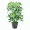 artificial plant - schefflera (jws2045-1)