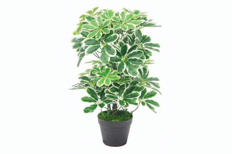 artificial plant - schefflera (jws2045-1)