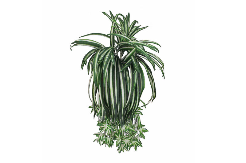 spider grass artificial plant