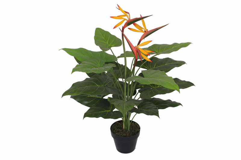 bird of paradise artificial plant