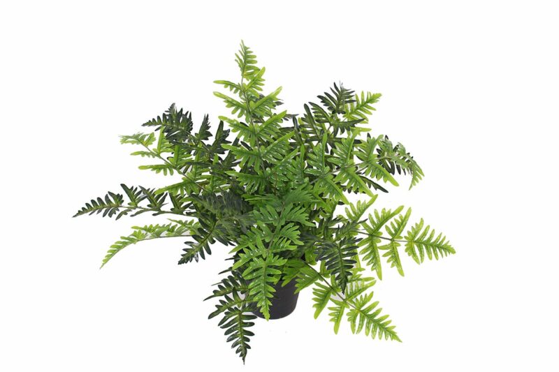 potted artificial fern (jwt 2743)