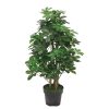artifical plant - schefflera plant (jws1826)