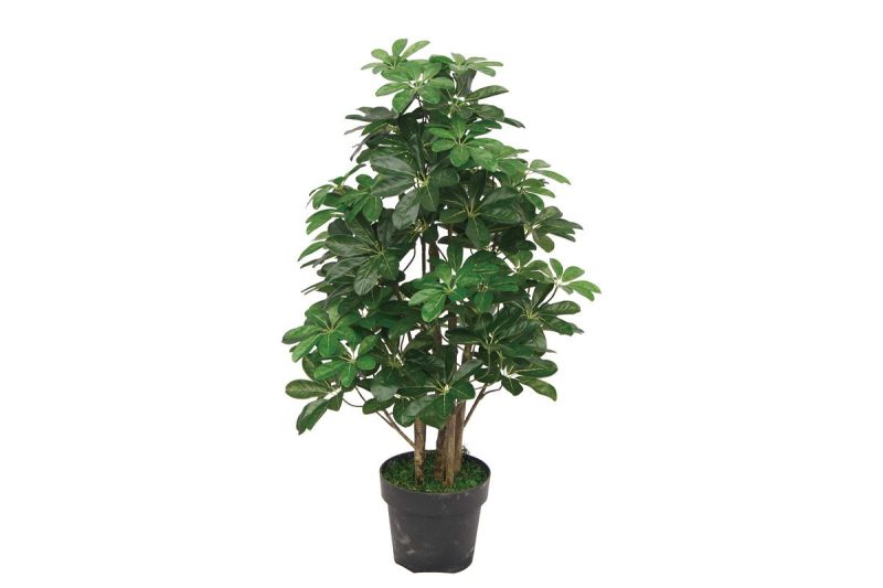 artifical plant - schefflera plant (jws1826)
