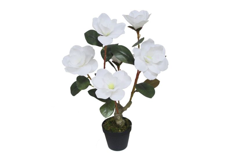 artifical plant - yulan (jws3171)