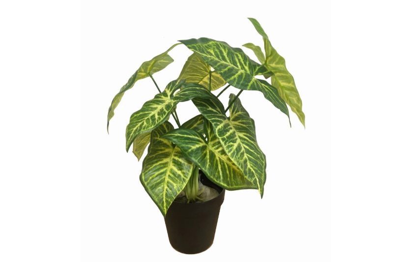 artifical plant - mini taro  (jws3263-2)