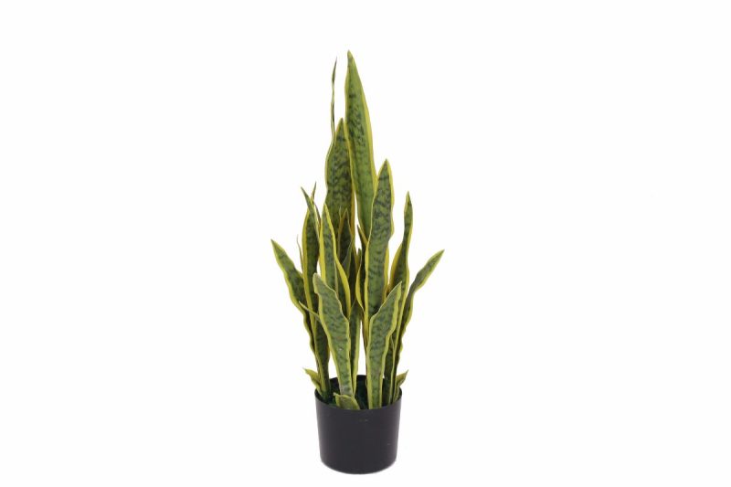 artifical plant - sanseviera (jwt2730)