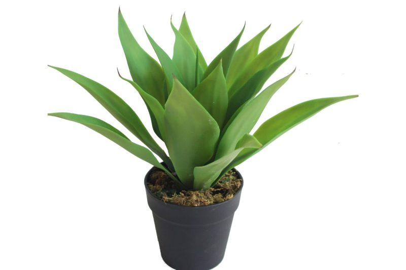 artifical plant - yucca (jwt3074)