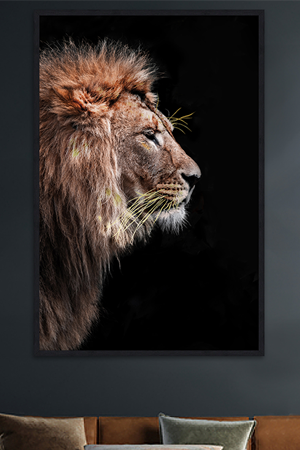 home decor 300 450px 1