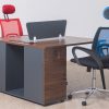 55flm209 - 2 way work station (copy)