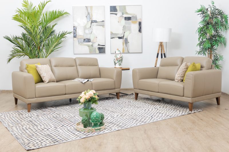 LEATHER SOFAS