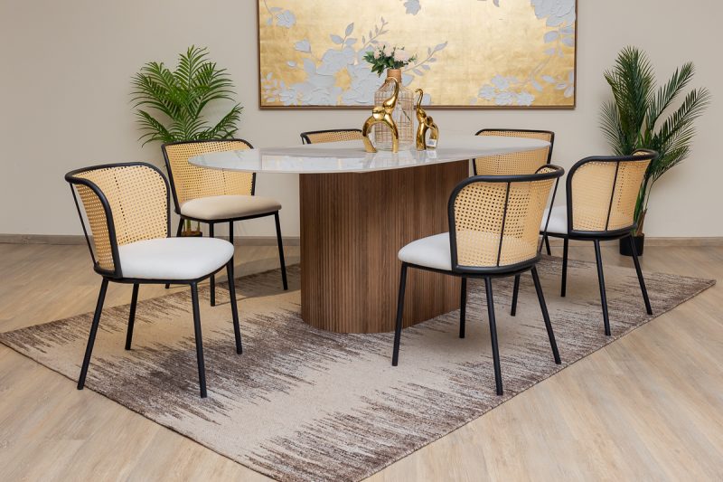 simii dining table + 6 cecily chairs (copy)