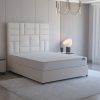 MAYFAIR COYA 1
