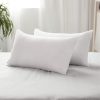 Pack of 2 Pillow.jpg 2