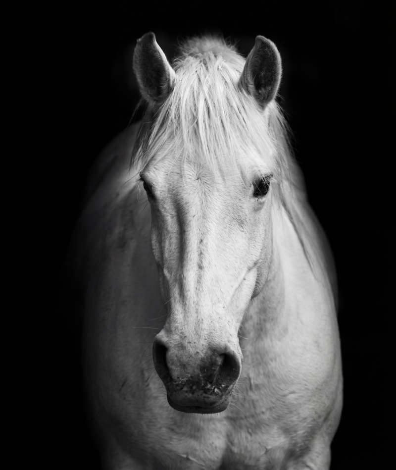202512 11 100x120cm