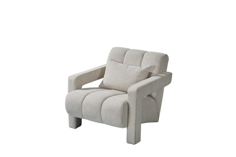 YP9001B Camel 1