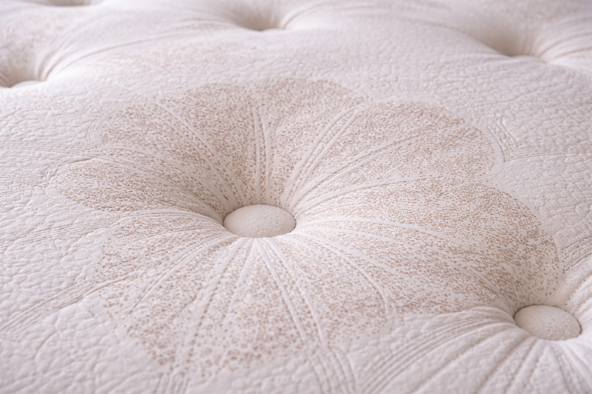 SLEEPSENSE Mattress 11 SLEEPSENSE Mattress - Image 6